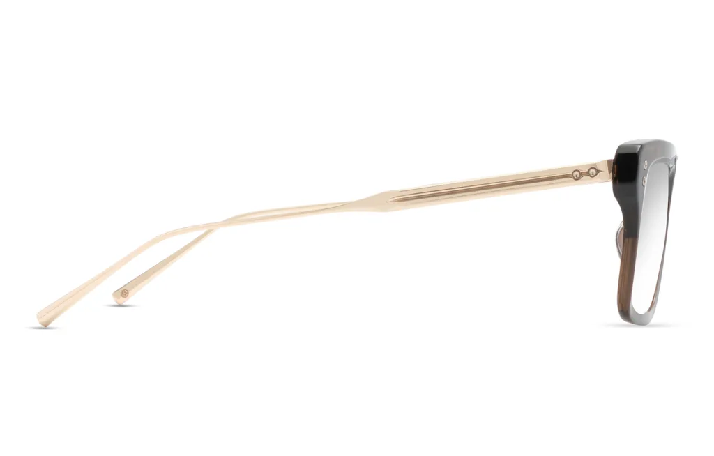 Dita LATARO BURNT TIMBER - WHITE GOLD DTX461-A-02, Brązowy