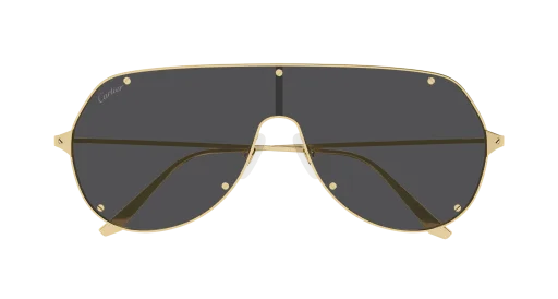 Cartier CT0324S