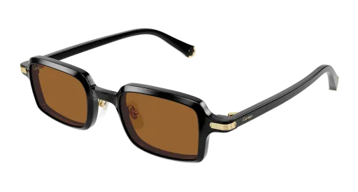 Cartier CT0539S