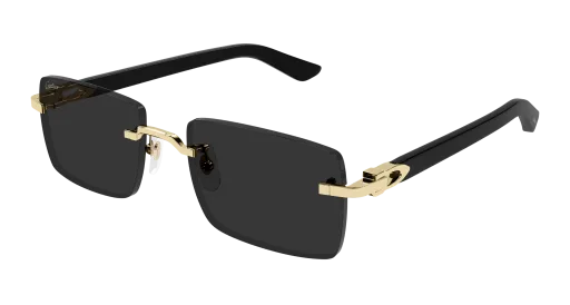 Cartier CT0579S
