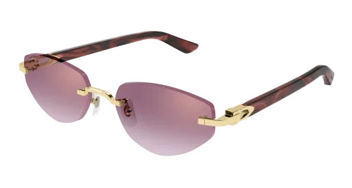 Cartier CT0580S