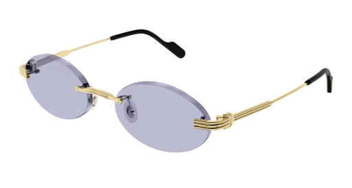 Cartier CT0615S