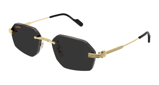 Cartier CT0616S