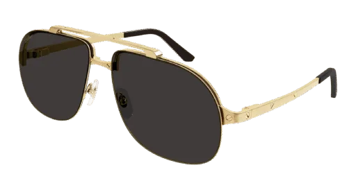 Cartier CT0353S