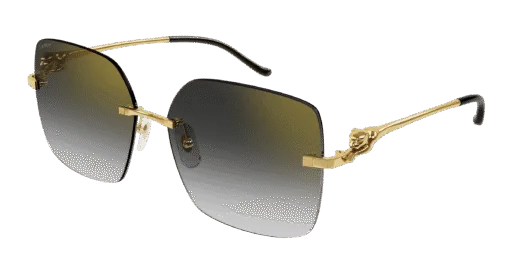 Cartier CT0359S