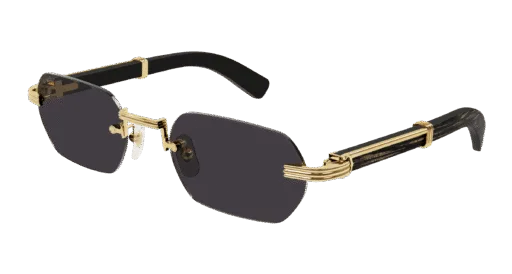 Cartier CT0362S