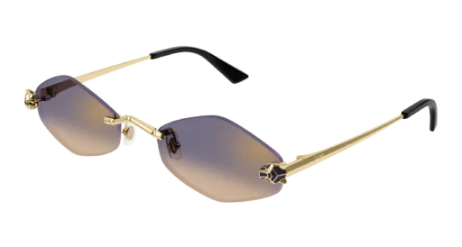 Cartier CT0433S