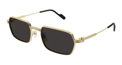 Cartier CT0463S