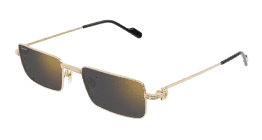 Cartier CT0501S