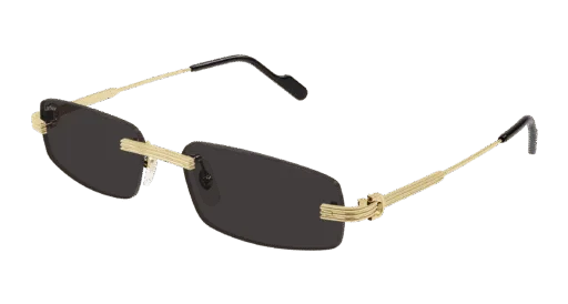 Cartier CT0535S