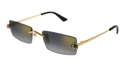 Cartier CT0598S