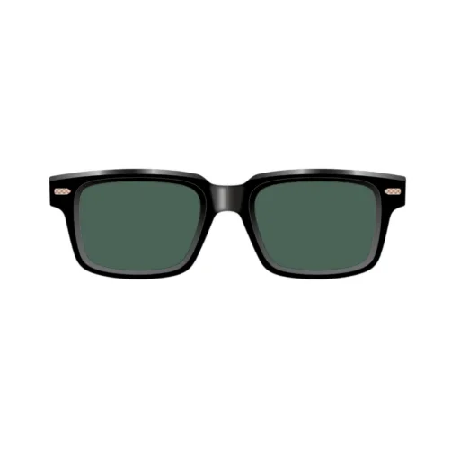 Cutler and Gross BRLE 0004